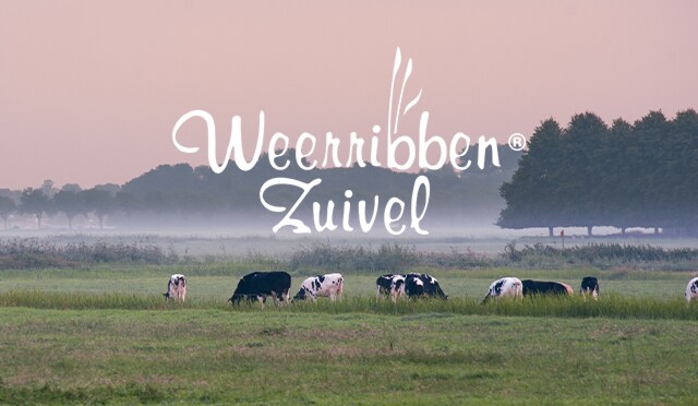 Weerribben Zuivel